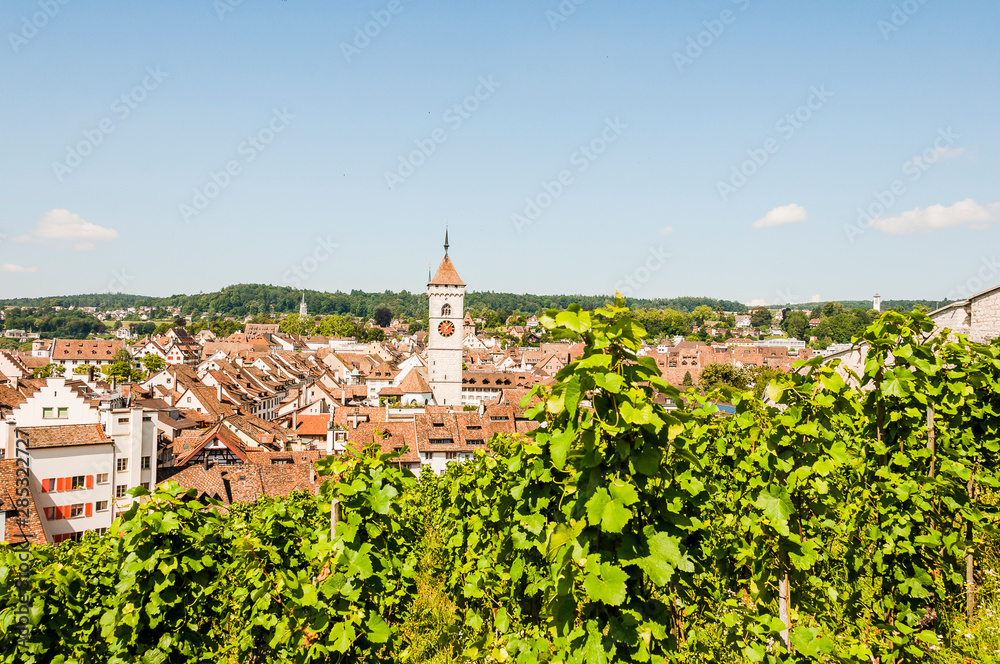 Schaffhausen, St. Johann, Kirche, Altstadt, Weinberg, Rebstock, Munot, Sommer, Ostschweiz, Schweiz