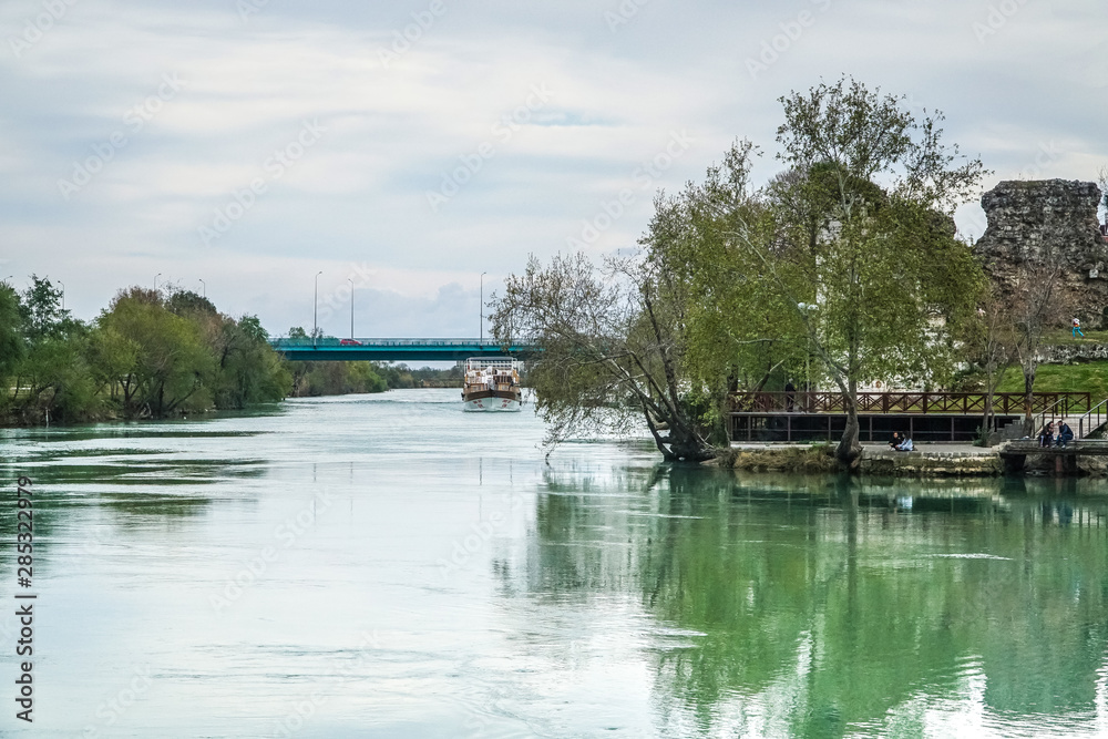 tree in the water - manavgat river tree in the water - manavgat river