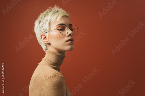 Beauty Studio Portrait of a Woman