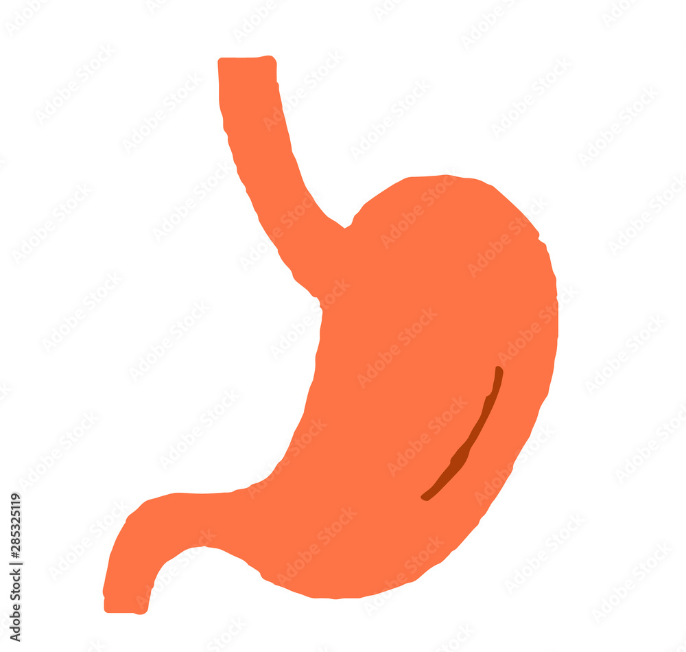 A simple illustration representing a stomach A simple illustration representing a stomach