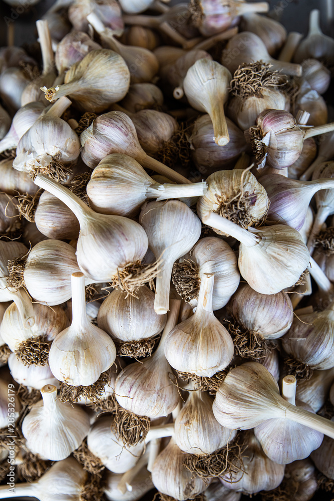 Garlic Cloves Garlic Cloves