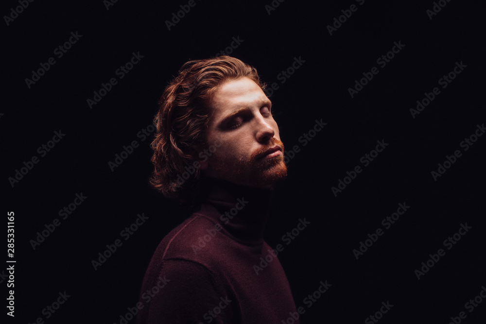 Portrait of a Ginger Man Portrait of a Ginger Man