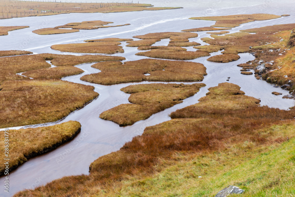 Salt Marsh in Scotland Salt Marsh in Scotland