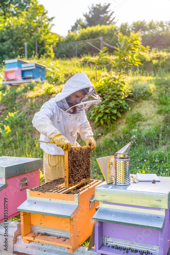 Beekeeper with honeycombs and smoker