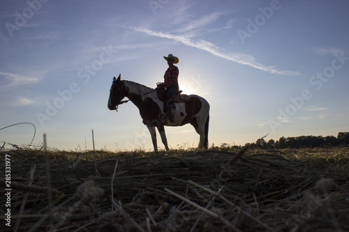 Silhouette cowgirl on horse at sunset