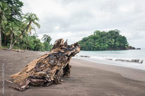 Paisaje donde la selva se junta con la playa con isla de fondo en la costa Pacífica de Colombia