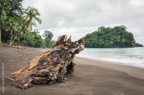 Paisaje donde la selva se junta con la playa con isla de fondo en la costa Pacífica de Colombia
