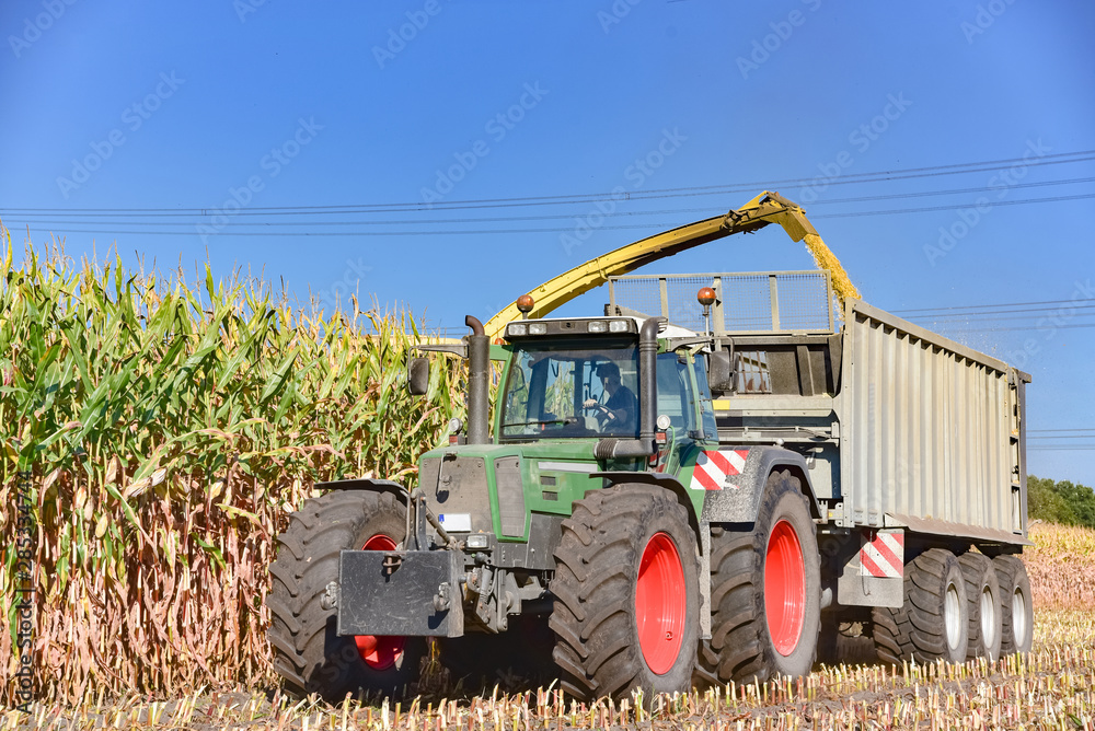 Obraz premium Häckseln von Mais - Maisernte