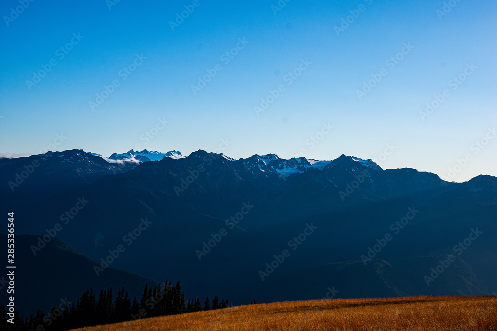 Fototapeta premium Sunset over Hurricane Ridge in Olympic National Park, near Port Angeles, Washington State, Pacific Northwest