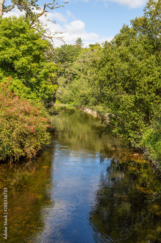 River and forest with reflections