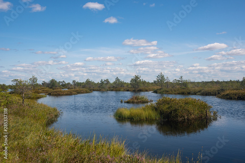 Fototapeta Naklejka Na Ścianę i Meble -  Lakes of Yelnya swamp - National Landscape Reserve, Belarus