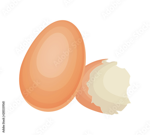 Broken egg shell on isolated white background. Vector illustration.