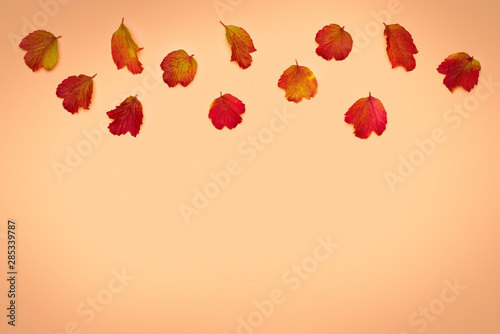 Background with autumn leaves  on a  beige background with space