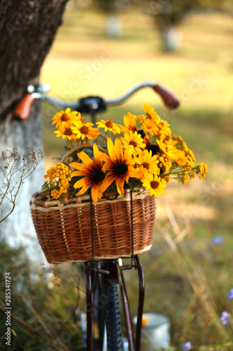 romantic retro bike with basket full of flowers in rural landscape