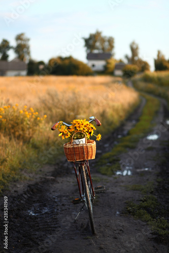 romantic retro bike with basket full of flowers in rural landscape