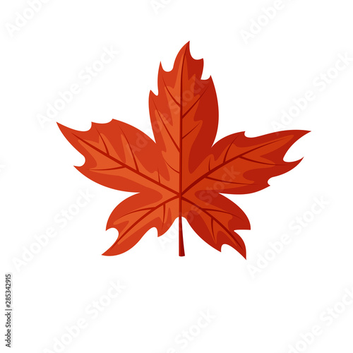 Maple leaf vector illustration. Red autumn leaf picture. © Shkuro