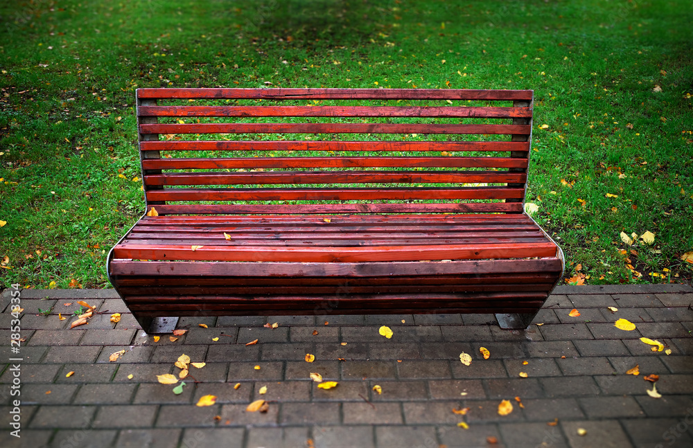 Autumn park bench object background hd Stock Photo | Adobe Stock