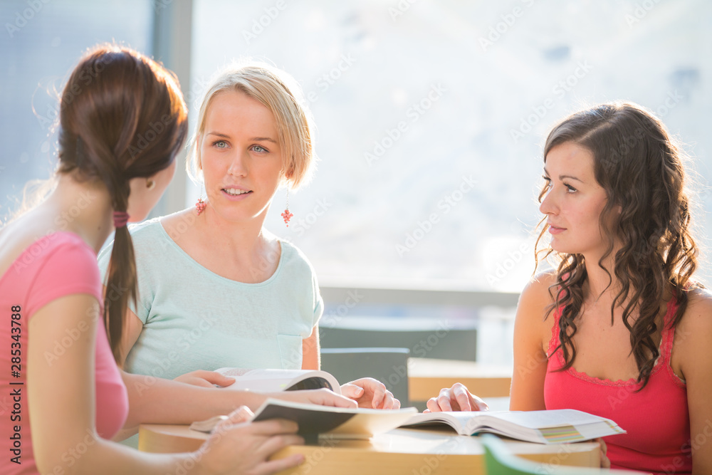 Group of university students studying hard for an exam in a lovely bright sunlit studying room/library Group of university students studying hard for an exam in a lovely bright sunlit studying room/library