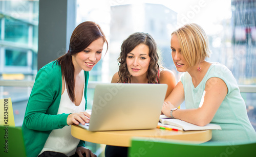 Group of university students studying hard for an exam in a lovely bright sunlit studying room/library photo