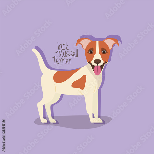 cute jack russell terrier dog pet character