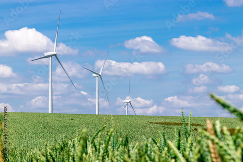 Wind turbines on a green wheat field