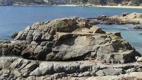 landscape of rocky beach and nature