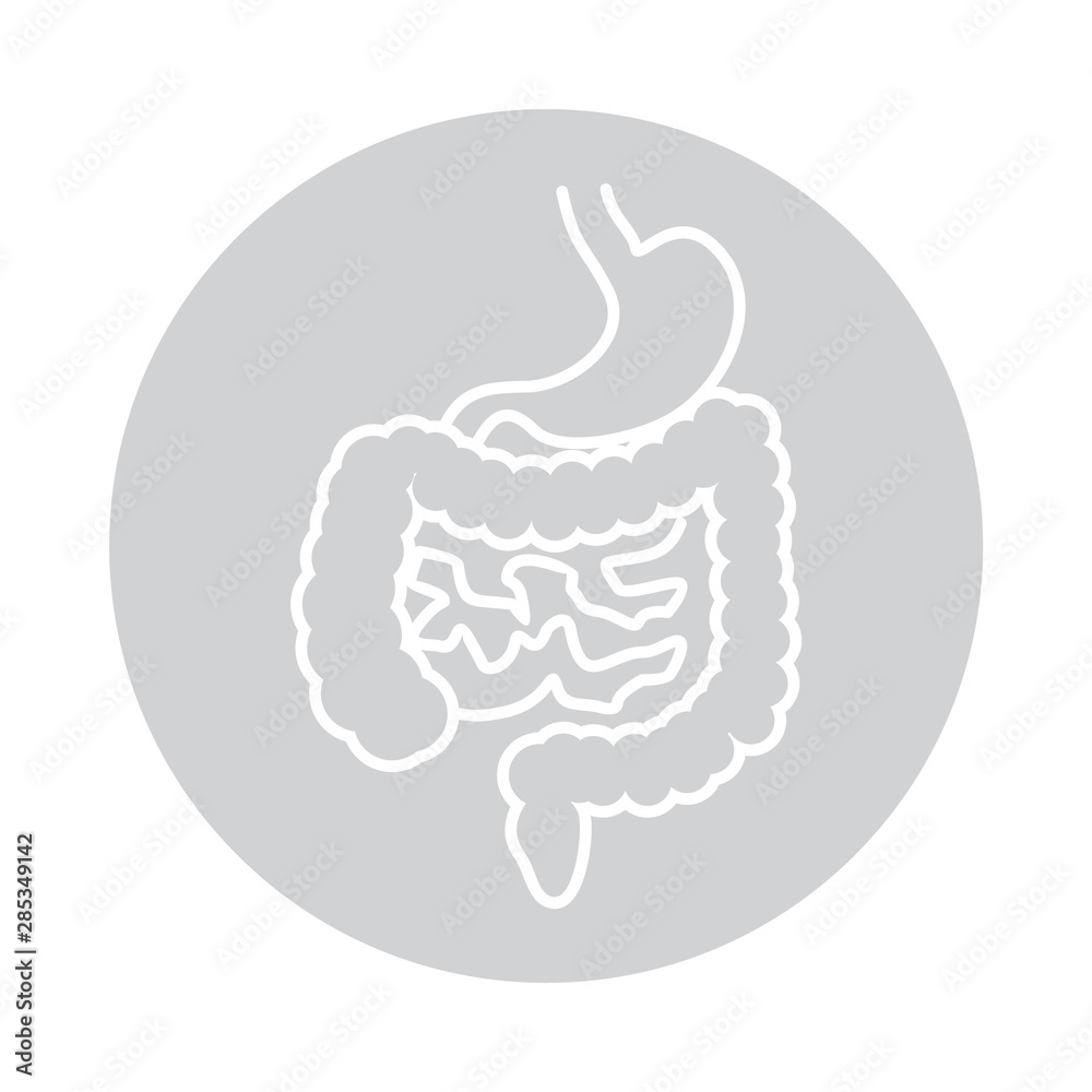 Intestines and ctomach icon in circle Intestines and ctomach icon in circle
