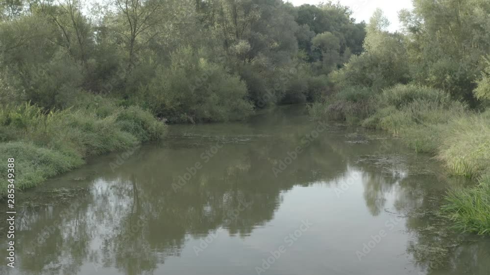 Flooded forest with pond and swamp Flooded forest with pond and swamp