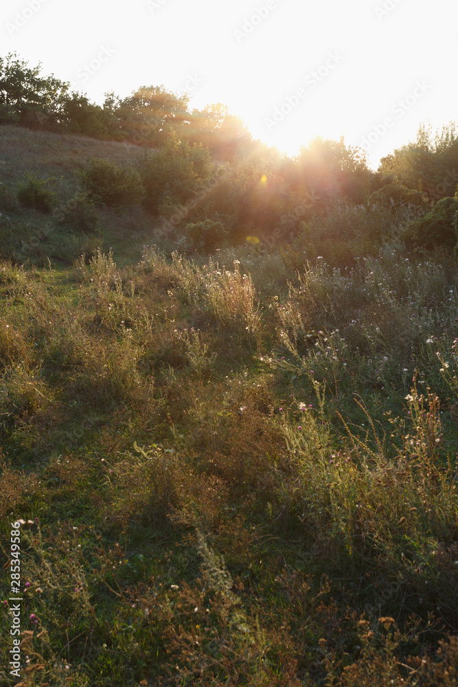 Meadow hills at sunset, Ukraine