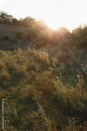 Meadow hills at sunset, Ukraine