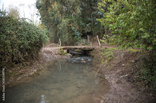 Estero