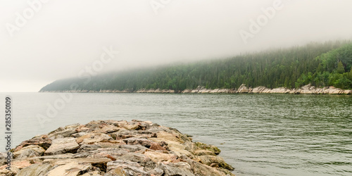 Forêt dans les nuages