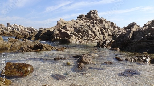 landscape of rocky beach and nature