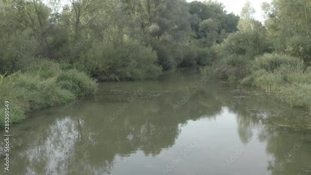 Flooded forest with pond and swamp Flooded forest with pond and swamp