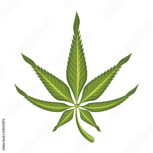 cannabis martihuana sativa hemp cartoon