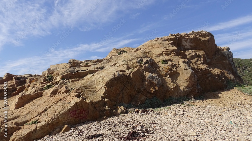 landscape of rocky beach and nature