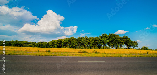 Road panorama on summer day with field and trees