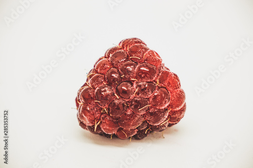 dried rose petals isolated on white