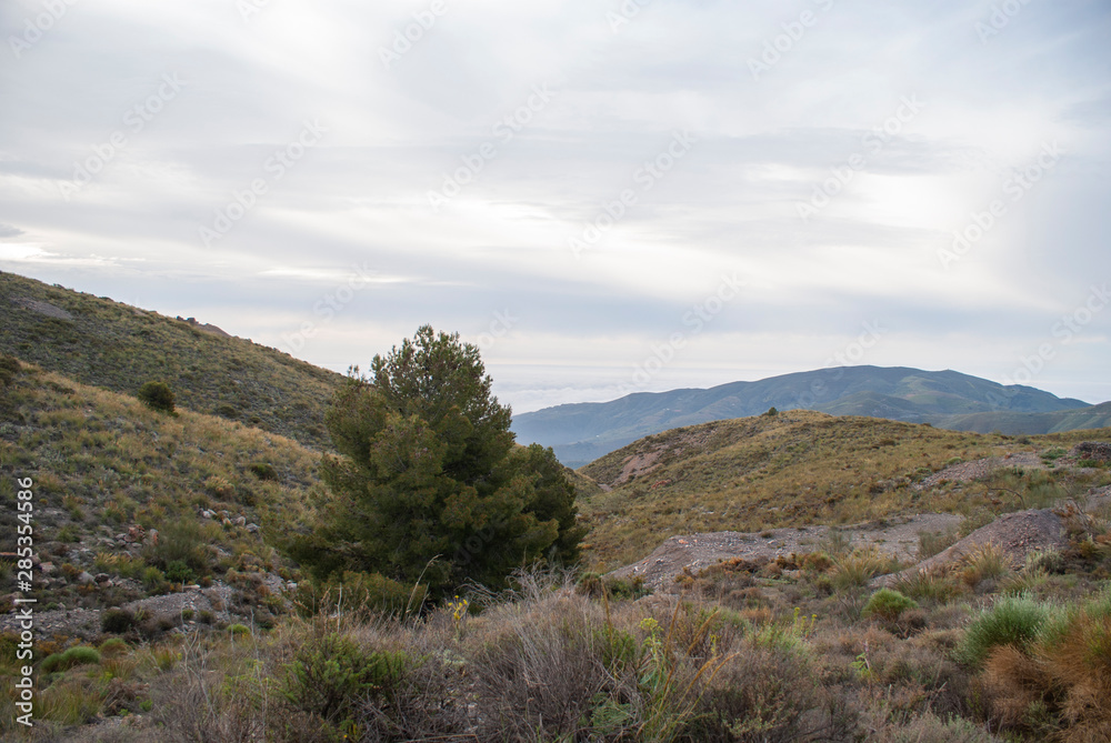 paisaje en las inmediaciones de la mina de Los Casimiros