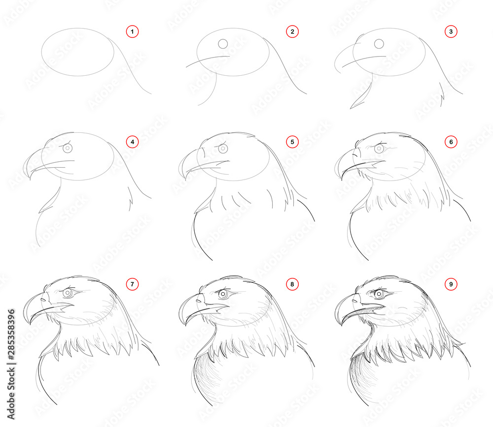 Realistic Eagle Vector Images (over 1,400)
