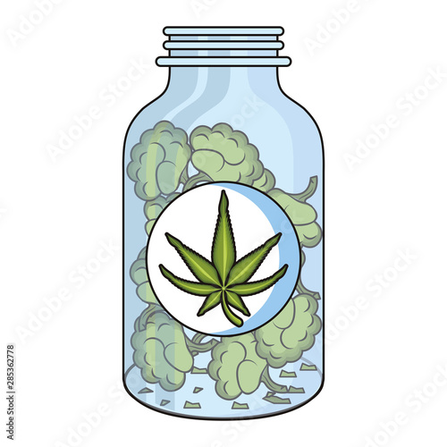 cannabis martihuana sativa hemp cartoon