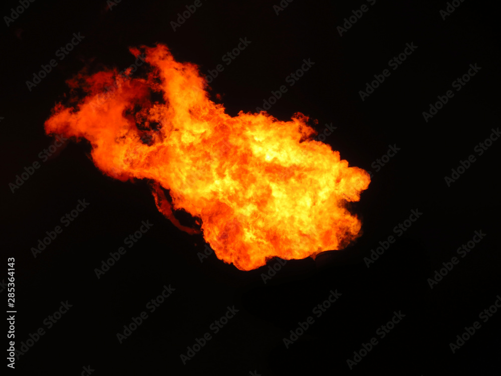 Obraz premium Blaze fire flame texture background. Fire flames collection isolated on black background.