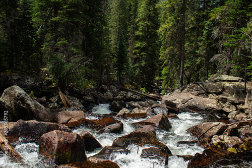 mountain stream in the forest