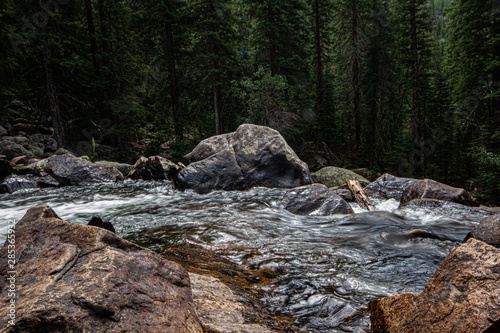 river in forest
