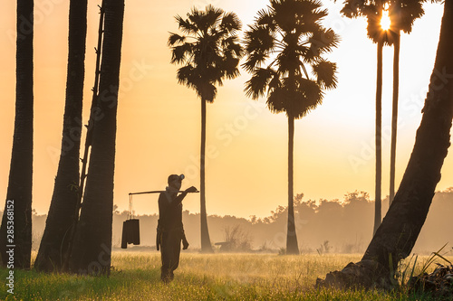 Asian men indonesian farmer working in the rice firld. keep tan palm sugar bear a lot  in the morning is sunrise. photo