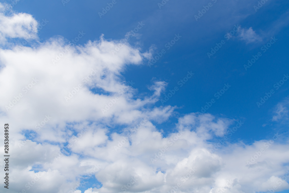 Fototapeta premium 夏の青空