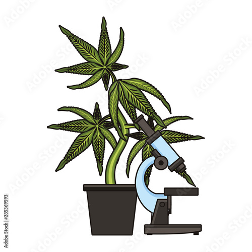 cannabis martihuana sativa hemp cartoon