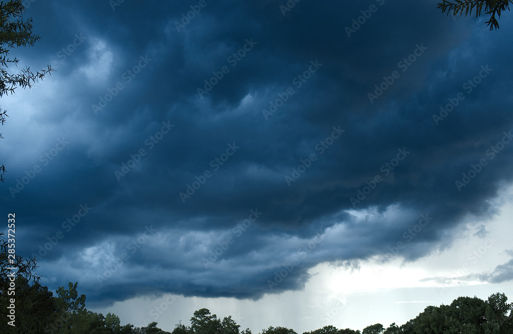 custom made wallpaper toronto digitalDistant light