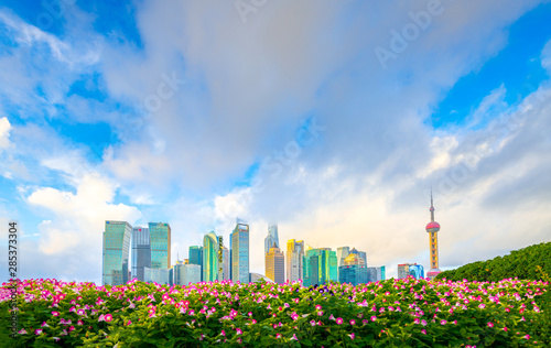 The morning of Lujiazui in Shanghai  China  with the prospect of flower beds