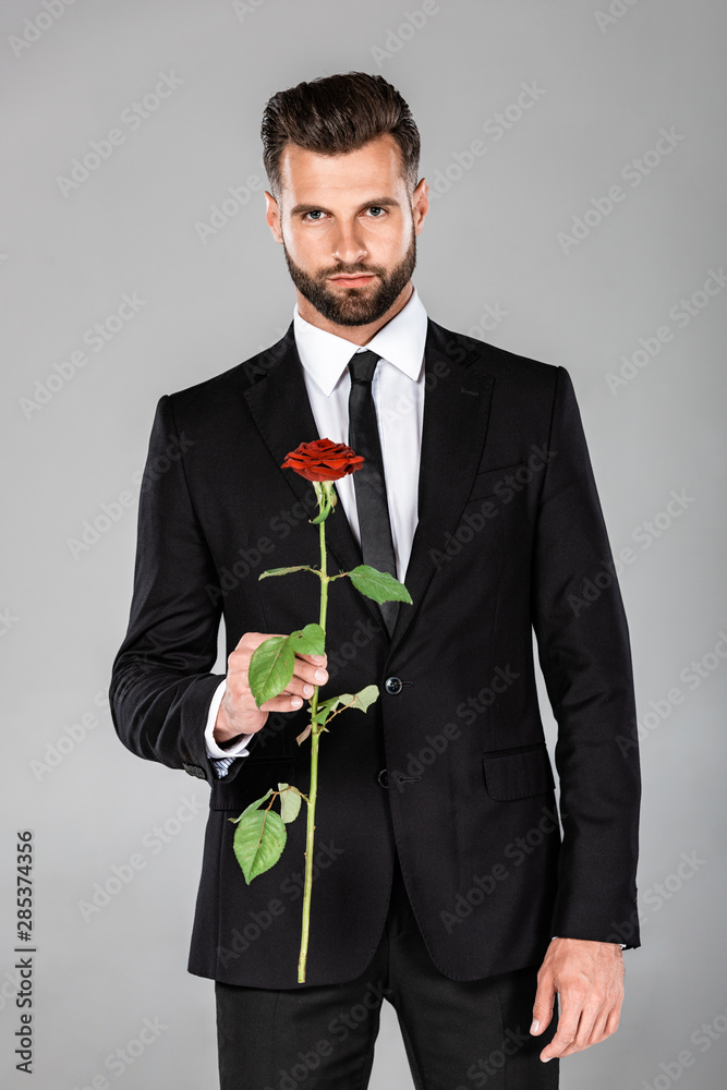 elegant handsome businessman in black suit with red rose isolated on grey elegant handsome businessman in black suit with red rose isolated on grey